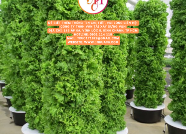 Mua trụ trồng cây thẳng đứng