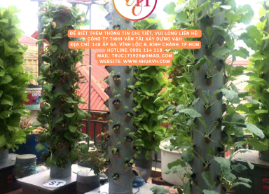 trồng rau thuỷ canh trụ đứng