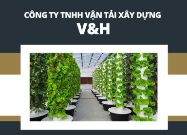 trụ trồng rau thủy canh sài gòn