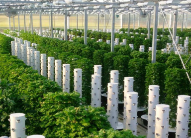 Trụ trồng rau thẳng đứng cho hộ gia đình