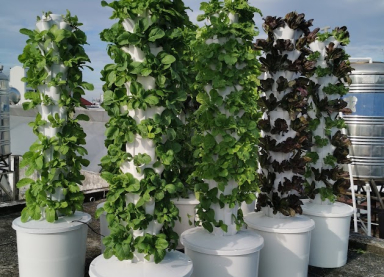 Gia công trụ trồng rau theo yêu cầu