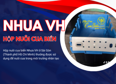 hộp nuôi cua biển sài gòn