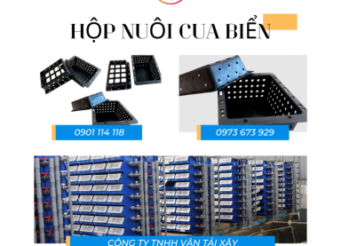 mua hộp nhựa nuôi cua biển ở đâu