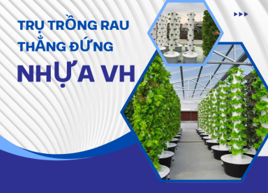 trụ trồng rau thẳng đứng Sài Gòn