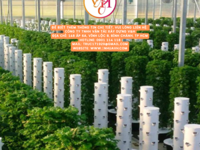 Hệ thống trồng cây thẳng đứng