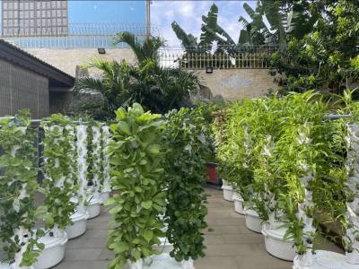 Báo giá trụ trồng rau hột